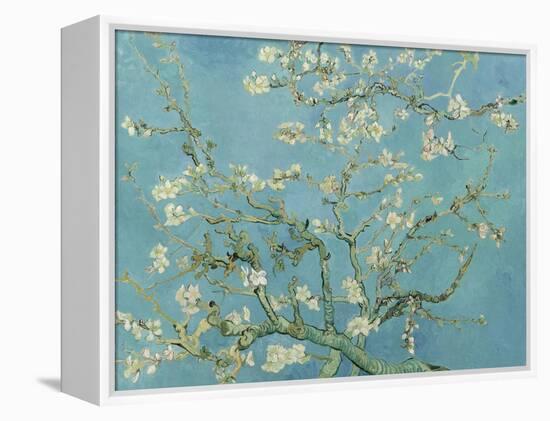 Almond Blossom, 1890-Vincent van Gogh-Framed Premier Image Canvas