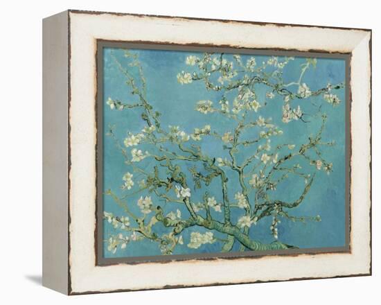 Almond Blossom. 1890-Vincent van Gogh-Framed Premier Image Canvas