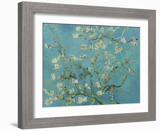 Almond Blossom. 1890-Vincent van Gogh-Framed Giclee Print