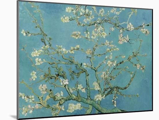 Almond Blossom. 1890-Vincent van Gogh-Mounted Giclee Print