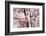 Almond Blossom, Berlin-Marzahn, Gardens of the World, Japanese Garden-Catharina Lux-Framed Photographic Print