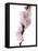 Almond Blossom on a Branch-Kai Stiepel-Framed Premier Image Canvas