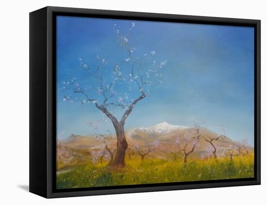 Almond Blossom with Snow Capped Sierra Nevada Mountain, 2016-Antonia Myatt-Framed Premier Image Canvas