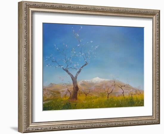 Almond Blossom with Snow Capped Sierra Nevada Mountain, 2016-Antonia Myatt-Framed Giclee Print