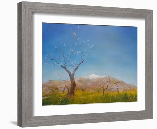 Almond Blossom with Snow Capped Sierra Nevada Mountain, 2016-Antonia Myatt-Framed Giclee Print