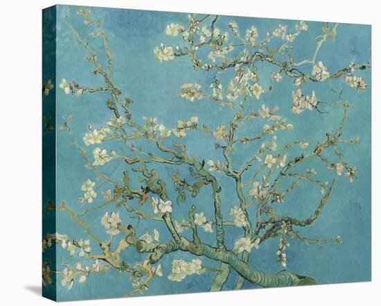 Almond Blossom-Vincent Van Gogh-Framed Stretched Canvas
