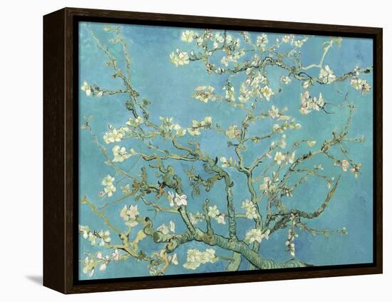 Almond Blossoms, 1890-Vincent van Gogh-Framed Stretched Canvas