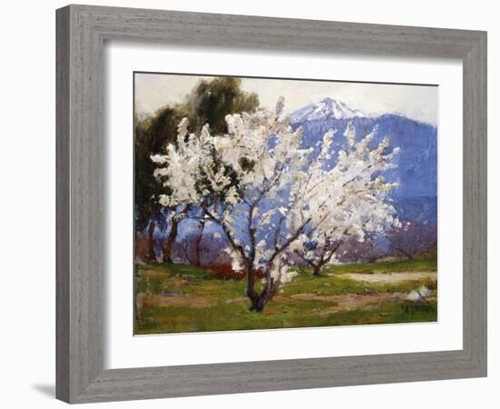 Almond Blossoms Near Banning-Anna Hills-Framed Art Print