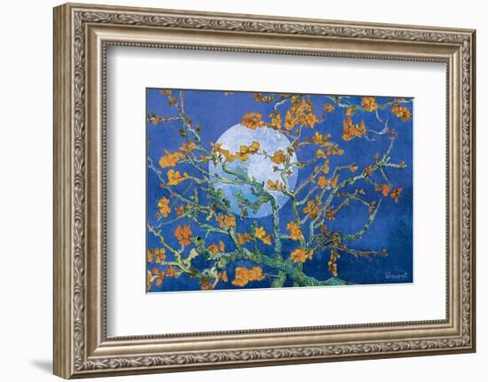 Almond Branches by Moonlight-null-Framed Art Print