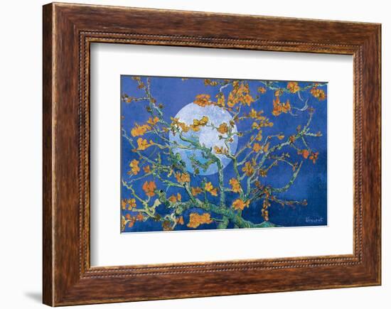 Almond Branches by Moonlight-null-Framed Art Print