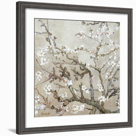 Almond Branches in Bloom, San Remy, c.1890 (tan)-Vincent van Gogh-Framed Art Print