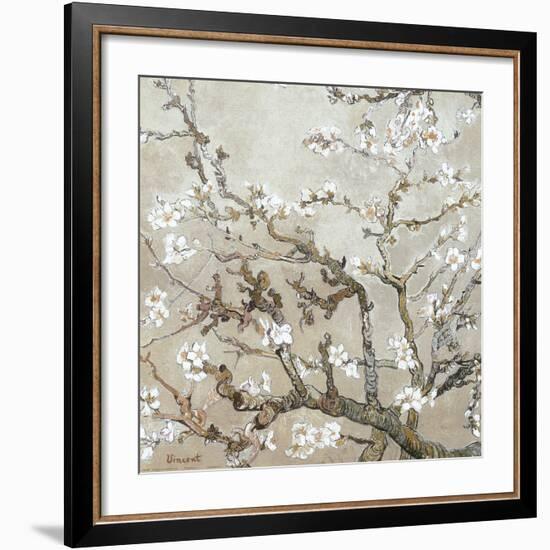 Almond Branches in Bloom, San Remy, c.1890 (tan)-Vincent van Gogh-Framed Art Print