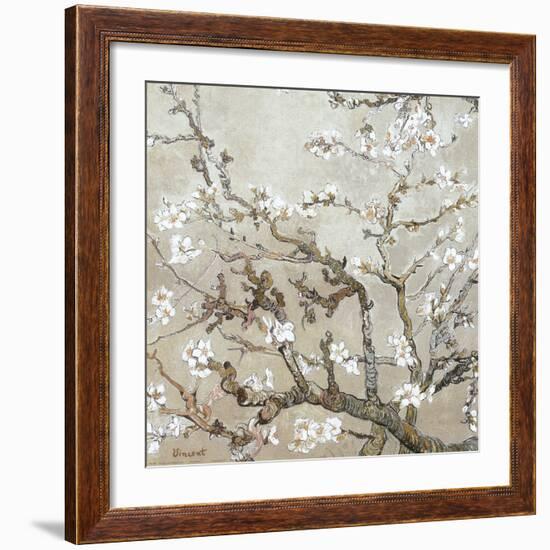 Almond Branches in Bloom, San Remy, c.1890 (tan)-Vincent van Gogh-Framed Art Print