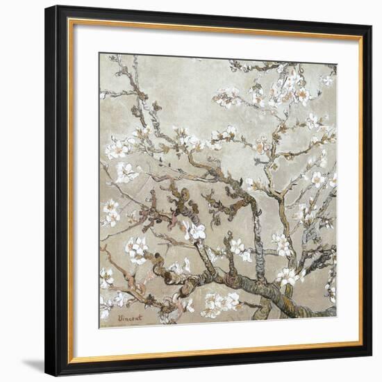 Almond Branches in Bloom, San Remy, c.1890 (tan)-Vincent van Gogh-Framed Art Print