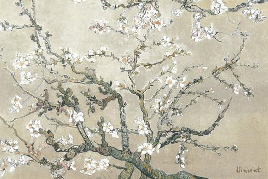 Almond Branches in Bloom, San Remy, c.1890 (tan)-Vincent van Gogh-Framed Art Print