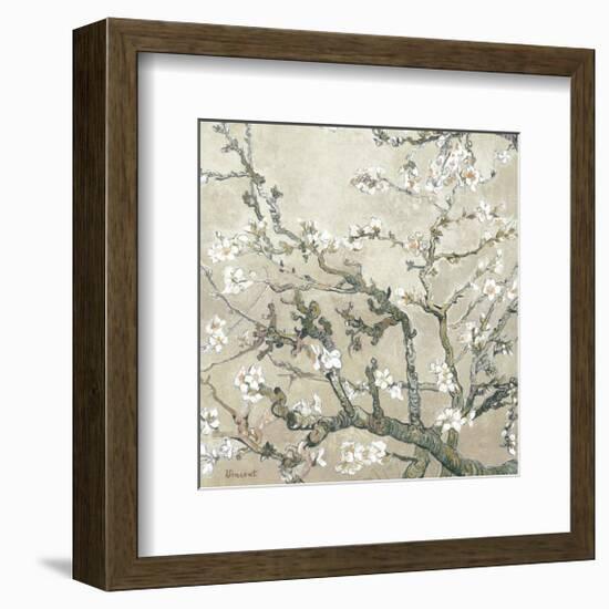 Almond Branches in Bloom, San Remy, c.1890 (tan)-Vincent van Gogh-Framed Premium Giclee Print