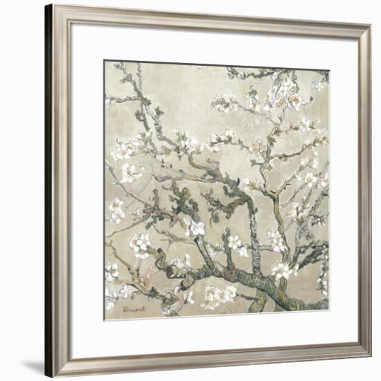 Almond Branches in Bloom, San Remy, c.1890 (tan)-Vincent van Gogh-Framed Premium Giclee Print