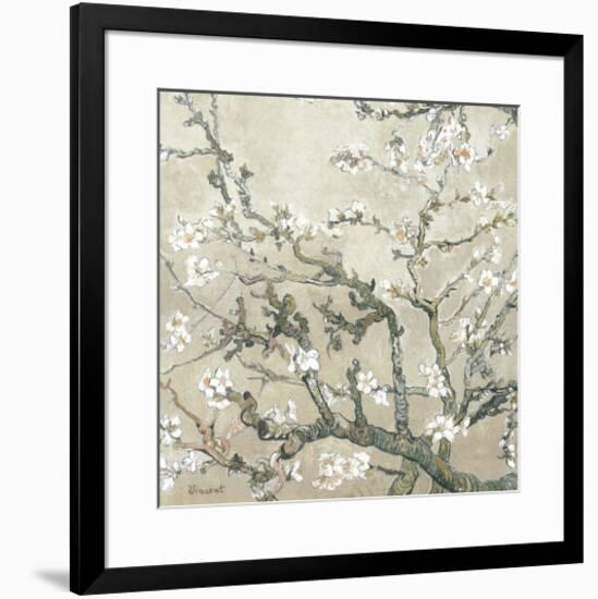 Almond Branches in Bloom, San Remy, c.1890 (tan)-Vincent van Gogh-Framed Premium Giclee Print