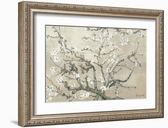 Almond Branches in Bloom, San Remy, c.1890 (tan)-Vincent van Gogh-Framed Premium Giclee Print