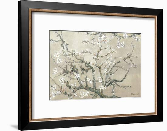 Almond Branches in Bloom, San Remy, c.1890 (tan)-Vincent van Gogh-Framed Premium Giclee Print