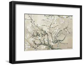 Almond Branches in Bloom, San Remy, c.1890 (tan)-Vincent van Gogh-Framed Premium Giclee Print
