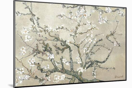 Almond Branches in Bloom, San Remy, c.1890 (tan)-Vincent van Gogh-Mounted Premium Giclee Print