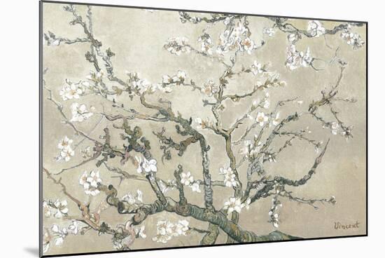 Almond Branches in Bloom, San Remy, c.1890 (tan)-Vincent van Gogh-Mounted Premium Giclee Print