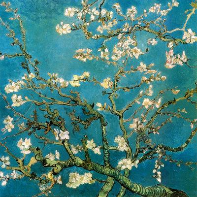 Almond Branches In Bloom San Remy C 10 Art Print Vincent Van Gogh Art Com