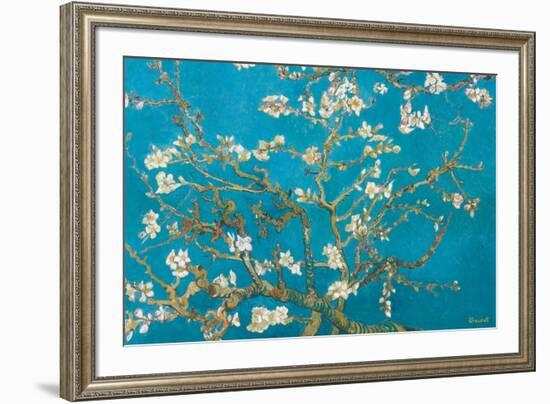 Almond Branches in Bloom, San Remy, c.1890-Vincent van Gogh-Framed Art Print