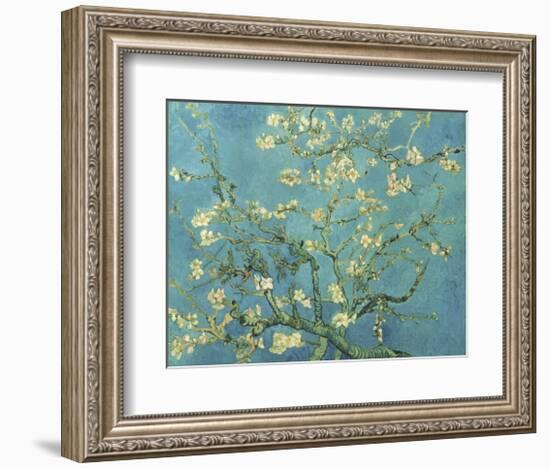 Almond Branches in Bloom, San Remy, c.1890-Vincent van Gogh-Framed Giclee Print