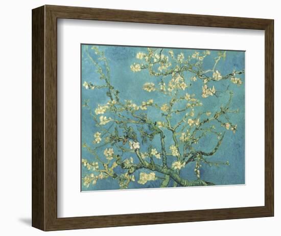 Almond Branches in Bloom, San Remy, c.1890-Vincent van Gogh-Framed Giclee Print