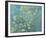 Almond Branches in Bloom, San Remy, c.1890-Vincent van Gogh-Framed Giclee Print