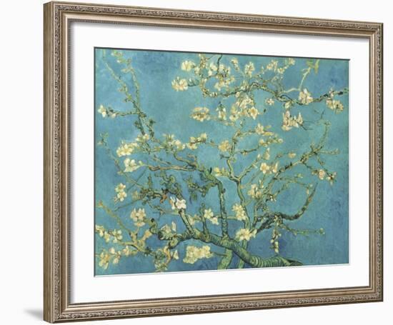 Almond Branches in Bloom, San Remy, c.1890-Vincent van Gogh-Framed Giclee Print