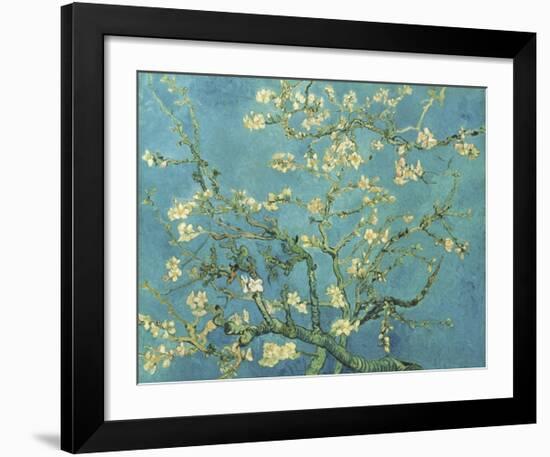 Almond Branches in Bloom, San Remy, c.1890-Vincent van Gogh-Framed Giclee Print