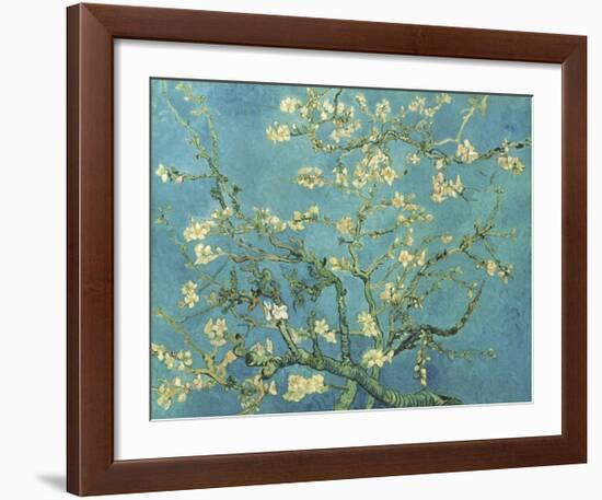 Almond Branches in Bloom, San Remy, c.1890-Vincent van Gogh-Framed Giclee Print