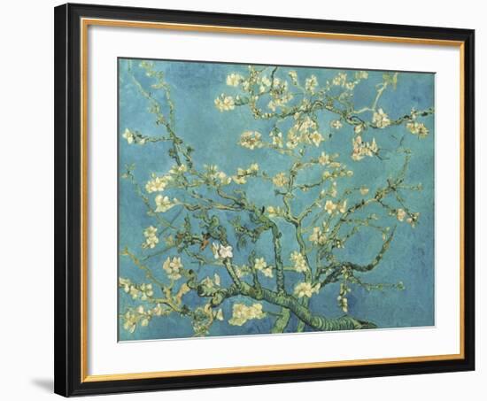 Almond Branches in Bloom, San Remy, c.1890-Vincent van Gogh-Framed Giclee Print