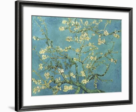 Almond Branches in Bloom, San Remy, c.1890-Vincent van Gogh-Framed Giclee Print