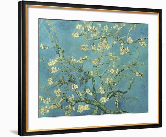 Almond Branches in Bloom, San Remy, c.1890-Vincent van Gogh-Framed Giclee Print