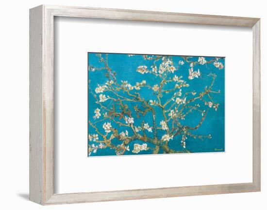 Almond Branches in Bloom, San Remy, c.1890-Vincent van Gogh-Framed Premium Giclee Print