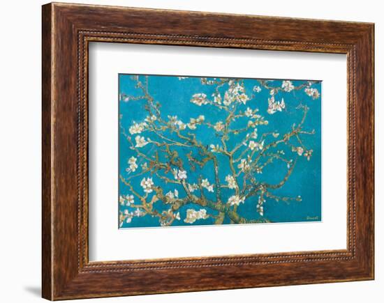 Almond Branches in Bloom, San Remy, c.1890-Vincent van Gogh-Framed Premium Giclee Print