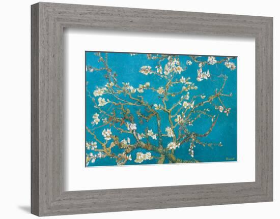 Almond Branches in Bloom, San Remy, c.1890-Vincent van Gogh-Framed Premium Giclee Print