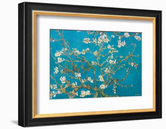 Almond Branches in Bloom, San Remy, c.1890-Vincent van Gogh-Framed Premium Giclee Print