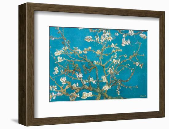 Almond Branches in Bloom, San Remy, c.1890-Vincent van Gogh-Framed Premium Giclee Print