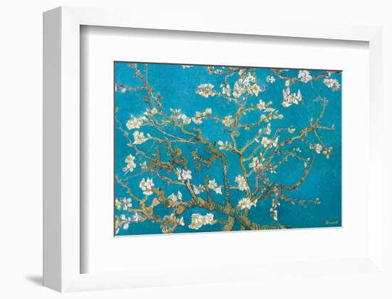 Almond Branches in Bloom, San Remy, c.1890-Vincent van Gogh-Framed Premium Giclee Print