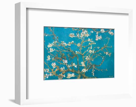 Almond Branches in Bloom, San Remy, c.1890-Vincent van Gogh-Framed Premium Giclee Print