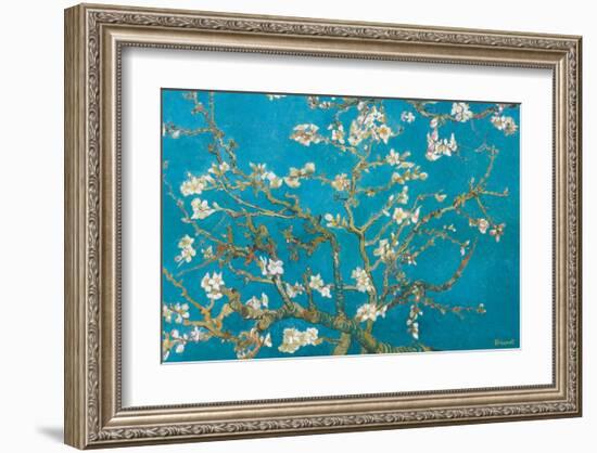 Almond Branches in Bloom, San Remy, c.1890-Vincent van Gogh-Framed Premium Giclee Print