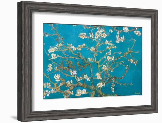 Almond Branches in Bloom, San Remy, c.1890-Vincent van Gogh-Framed Premium Giclee Print