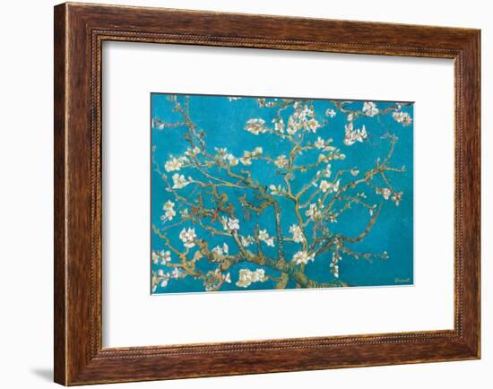 Almond Branches in Bloom, San Remy, c.1890-Vincent van Gogh-Framed Premium Giclee Print