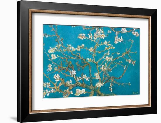 Almond Branches in Bloom, San Remy, c.1890-Vincent van Gogh-Framed Premium Giclee Print