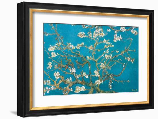 Almond Branches in Bloom, San Remy, c.1890-Vincent van Gogh-Framed Premium Giclee Print